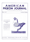 Magazine Cover