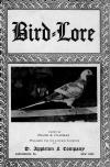 Bird Lore